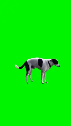 h0rny dog