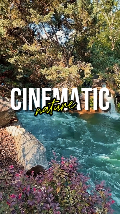 NATURE CINÉMATIQUE