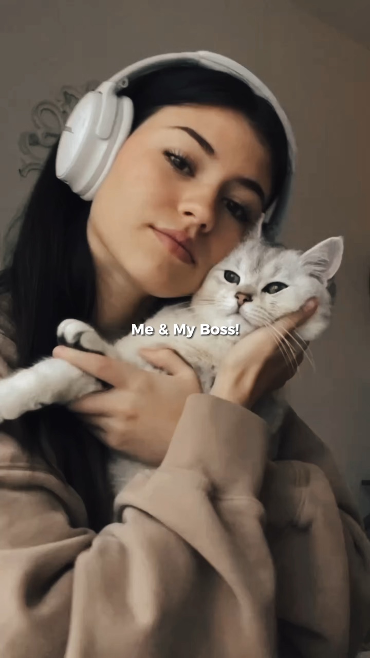 Gato y yo
