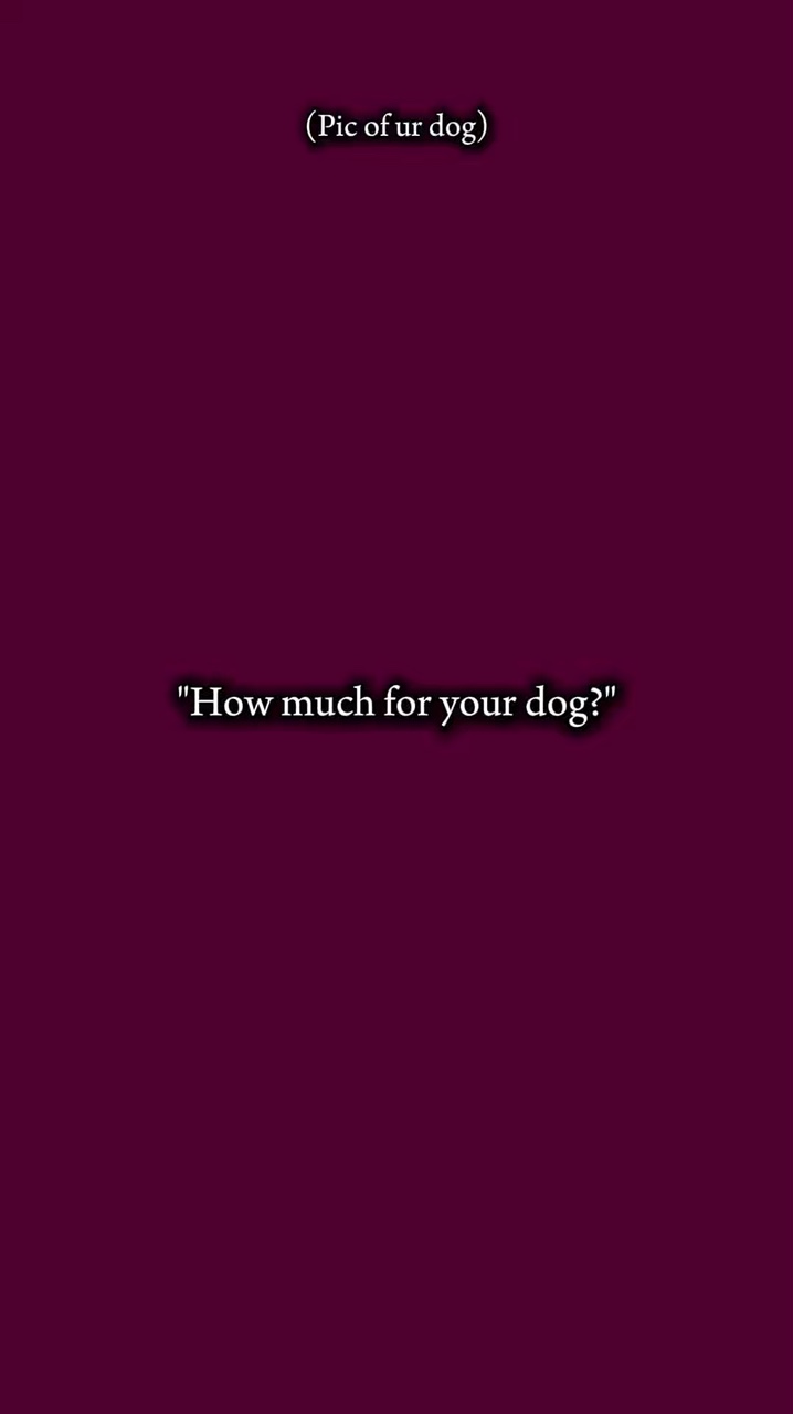Pic of you dog