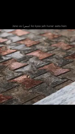 Shayeri🙂❤️‍🩹