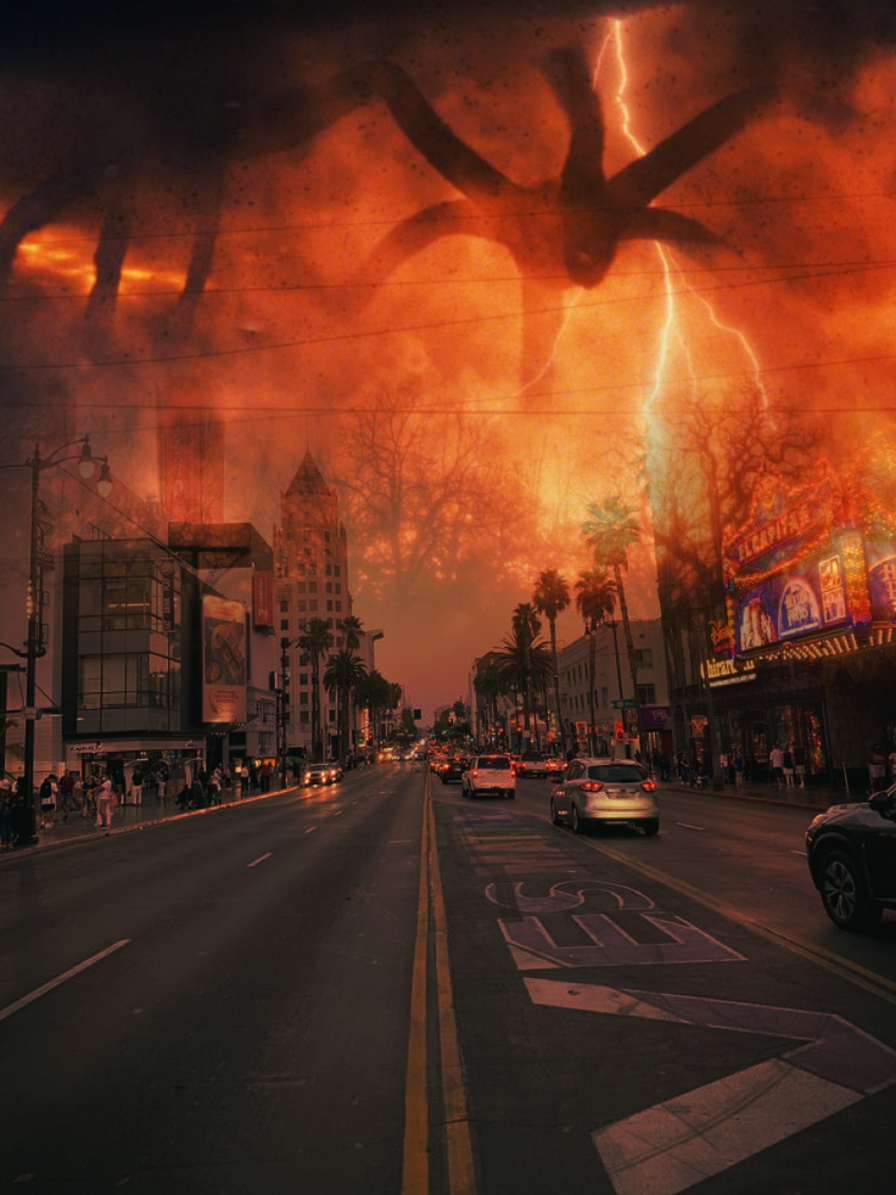 Cover Picture