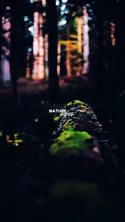 Velocity Nature Vibe