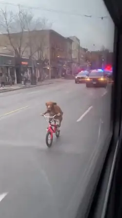 Escaping from police