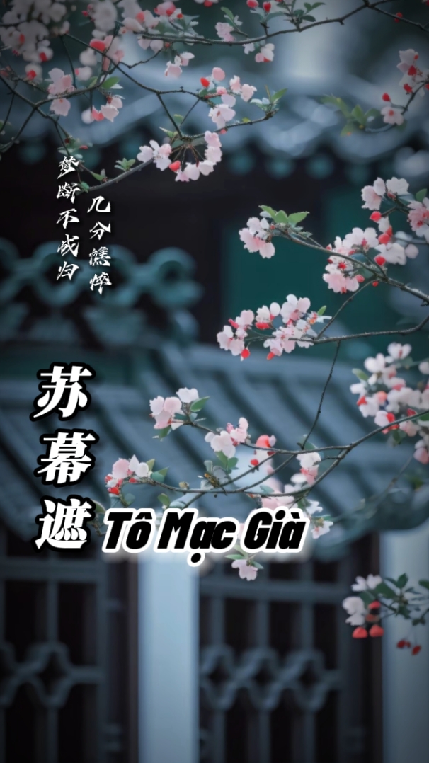 Tô M￼ c Già