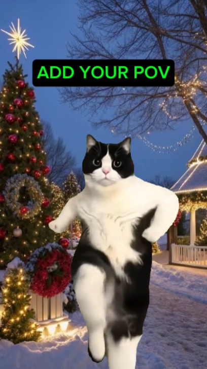 Mème de danse de chat