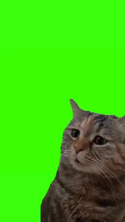 kucing sedih
