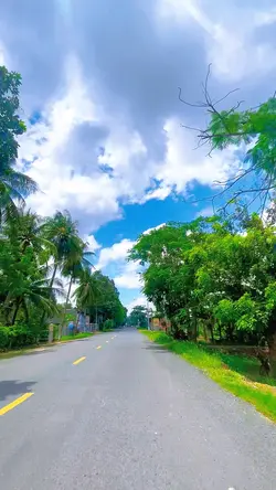 bầu trời xanh lét