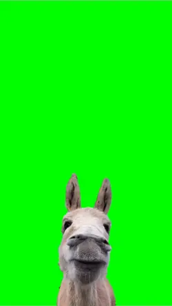Eating donkey ASMR
