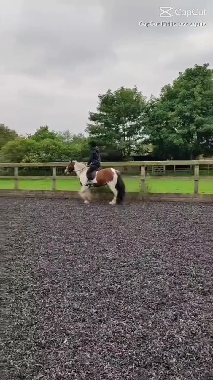 another edit comp- x