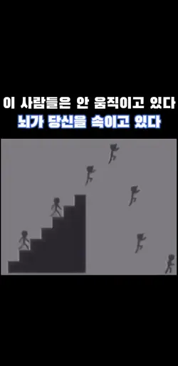 신기한 뇌속임