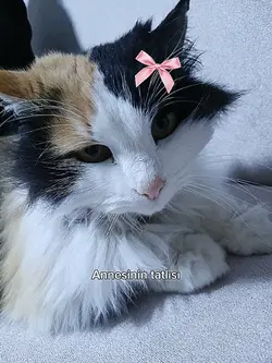 fotoğraf benim!