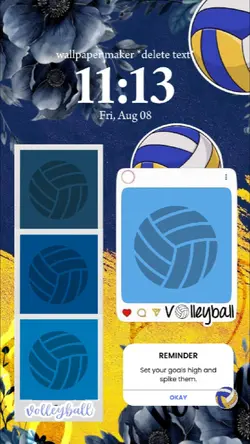 vball wlpr