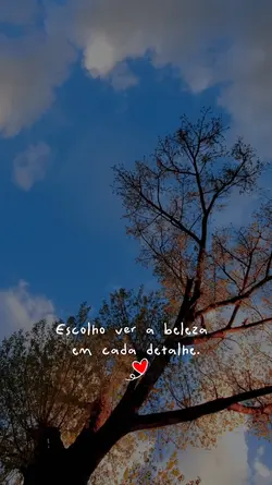 A beleza