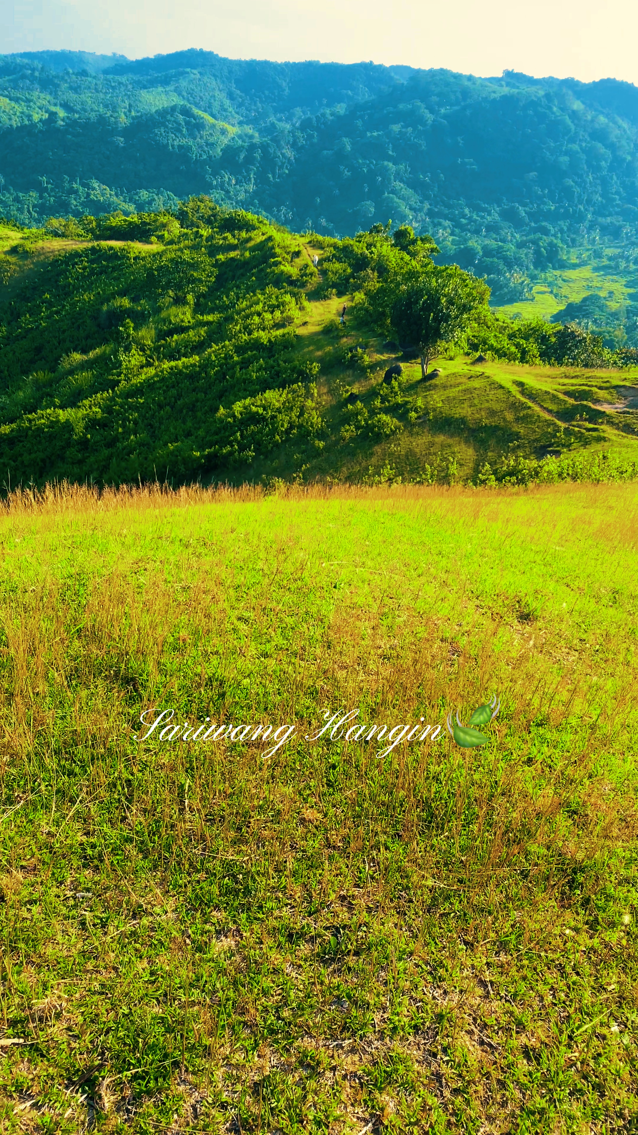 Pag-ibig 🍃