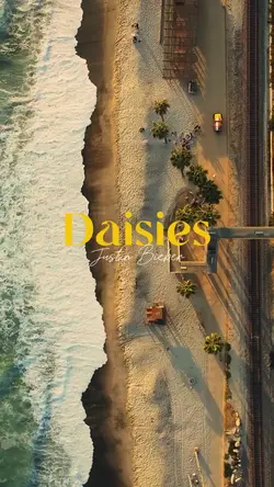 Daisies JustinBieber