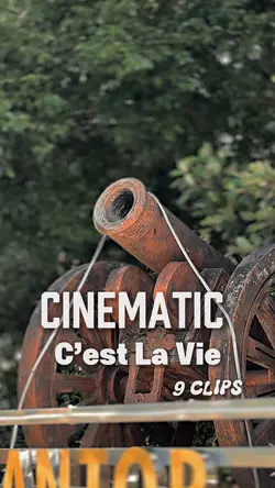 C’EST LA VIE