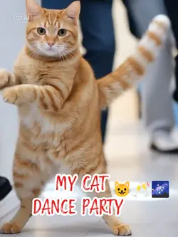 MY CAT DANCE