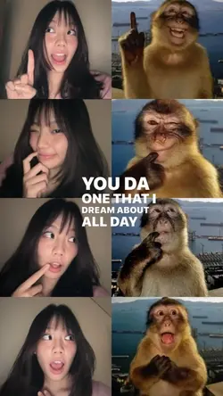monkey trend