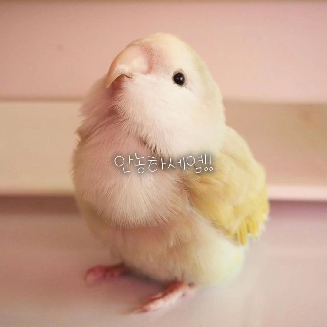 좋은데 나쁘닿..