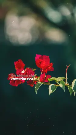 ôi tuổi xanh mộng mơ