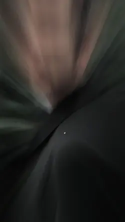 تا پیر شد یاد نگرفت