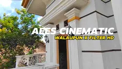 Aees Cinematic