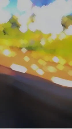 Fb / SNAシ