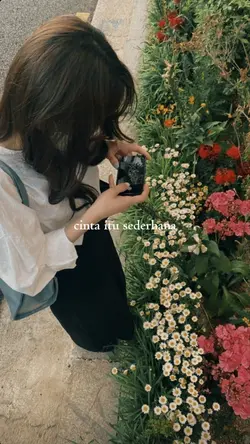 rocket rockers rumit