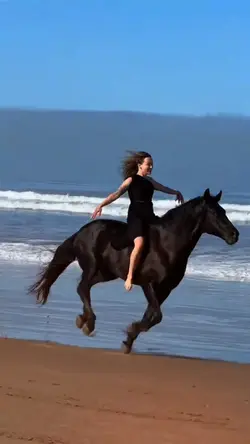 HORSE SLOWMOTION