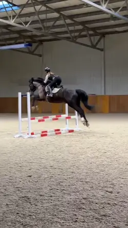 best mare 😻