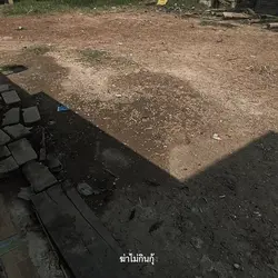ฆ่าไม่กินกุ้ง