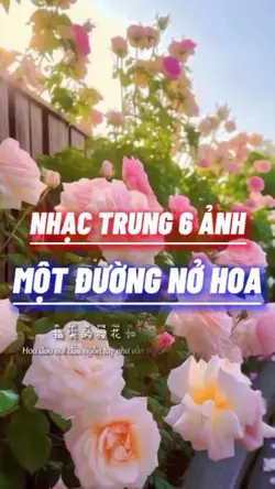 NHẠC TRUNG 6 ẢNH