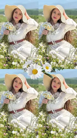 Papatya Şablonu 