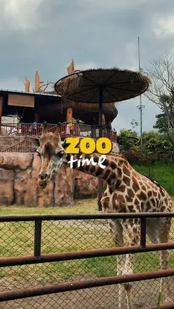 Zoo time
