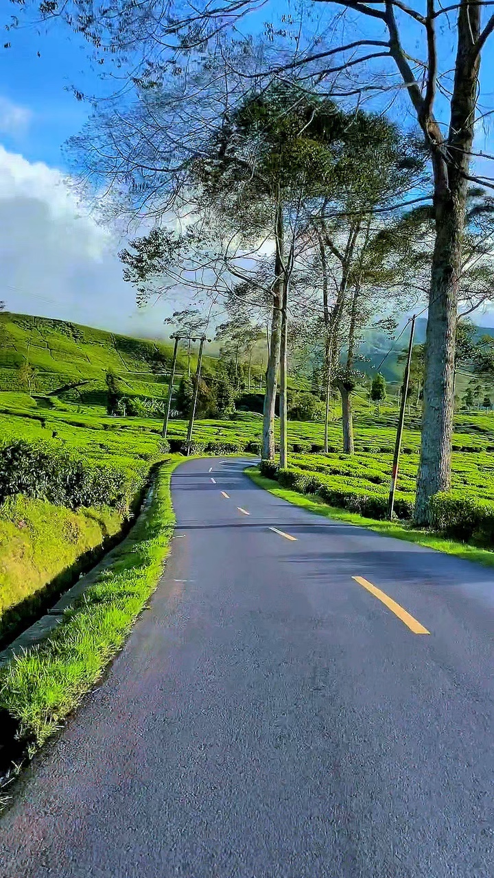 6 video travel road 