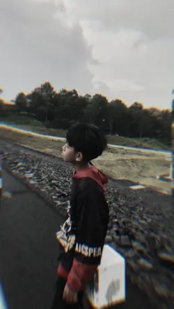 กุหลาบเวียงพิงค์