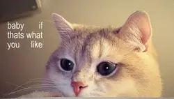 I'll do it