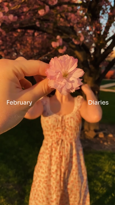 Februar-Tagebücher