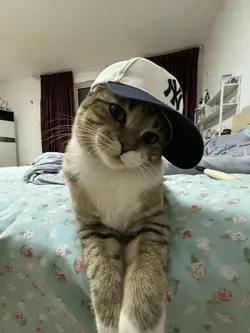 mengkece 