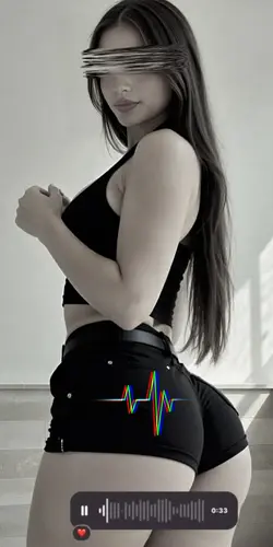 novo modelo 
