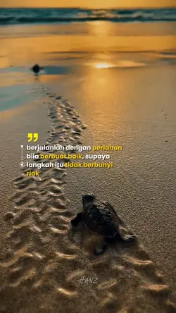 Quotes | Kata
