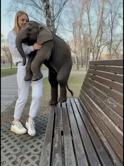 BABY ELEPHANT AI