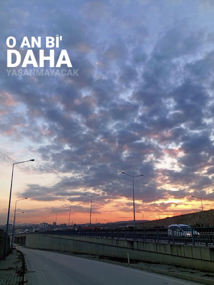 Yalnız kaldın mı ?