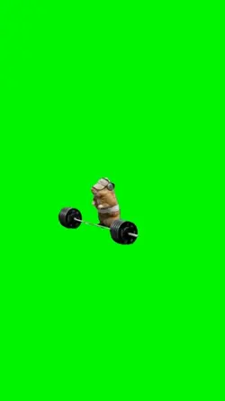 Hamster working out 