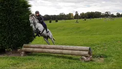 this pony could jump