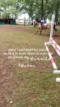 N aM Réussite/ échec