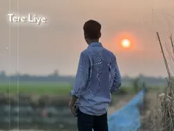 tere Liye