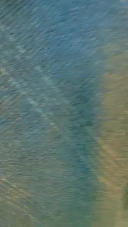 bhojpuri song conten