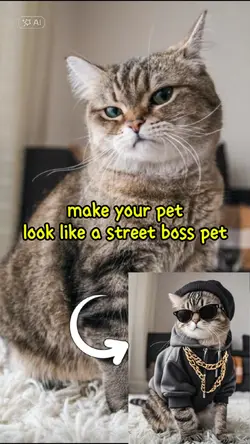 street boss pet ai